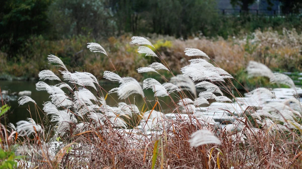 Штормовое предупреждение объявили в 15 регионах Казахстана