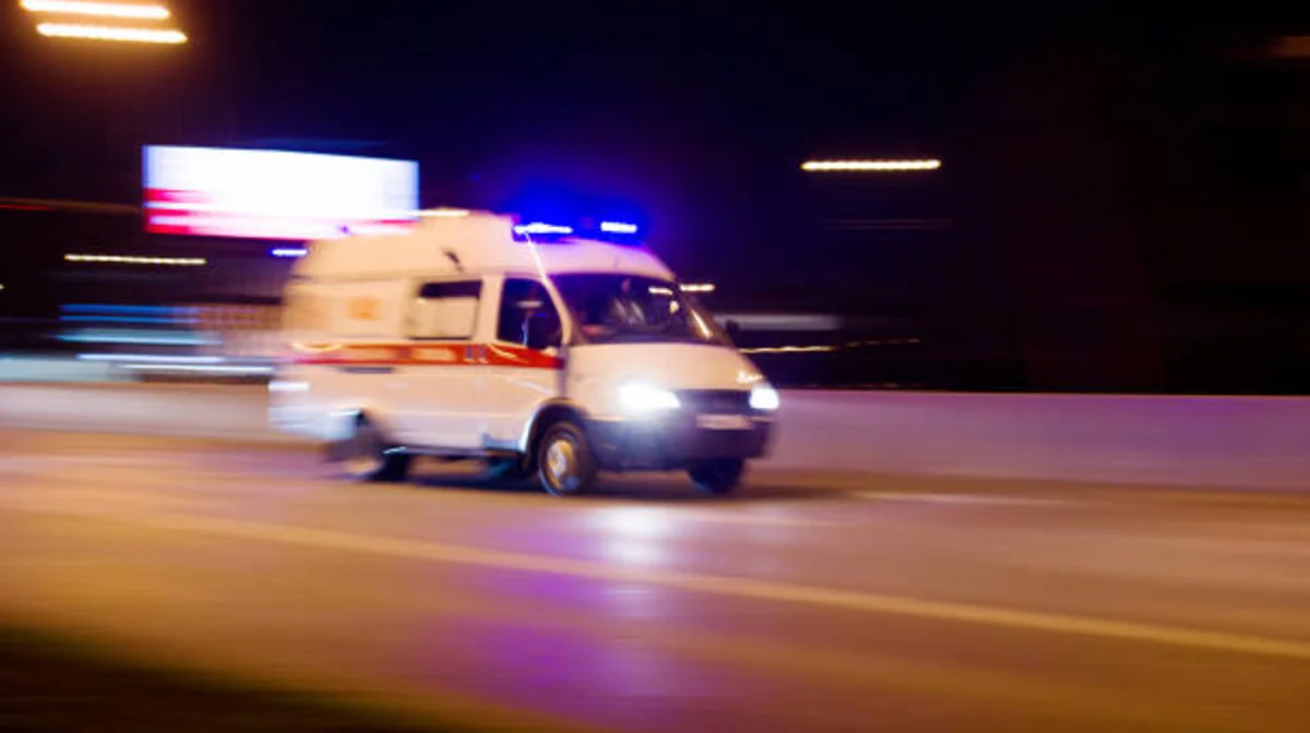 Алматыда 41 жастағы ер адам анасын өлтірді деген күдікпен ұсталды