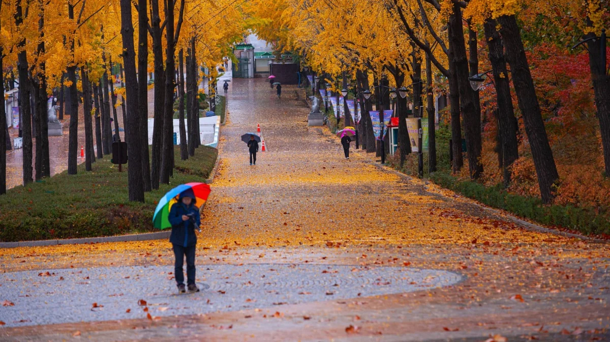 Снег, дождь и метель: 3 ноября в Казахстане ожидается непогода