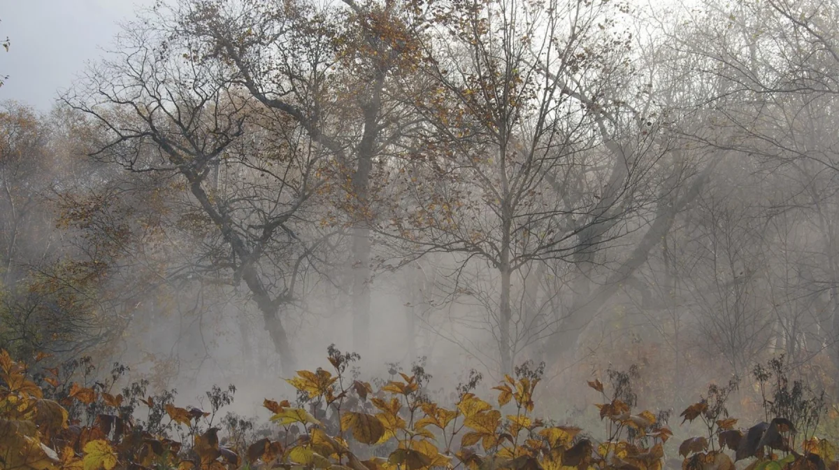 Штормовое предупреждение объявили в ряде регионов Казахстана 4 ноября