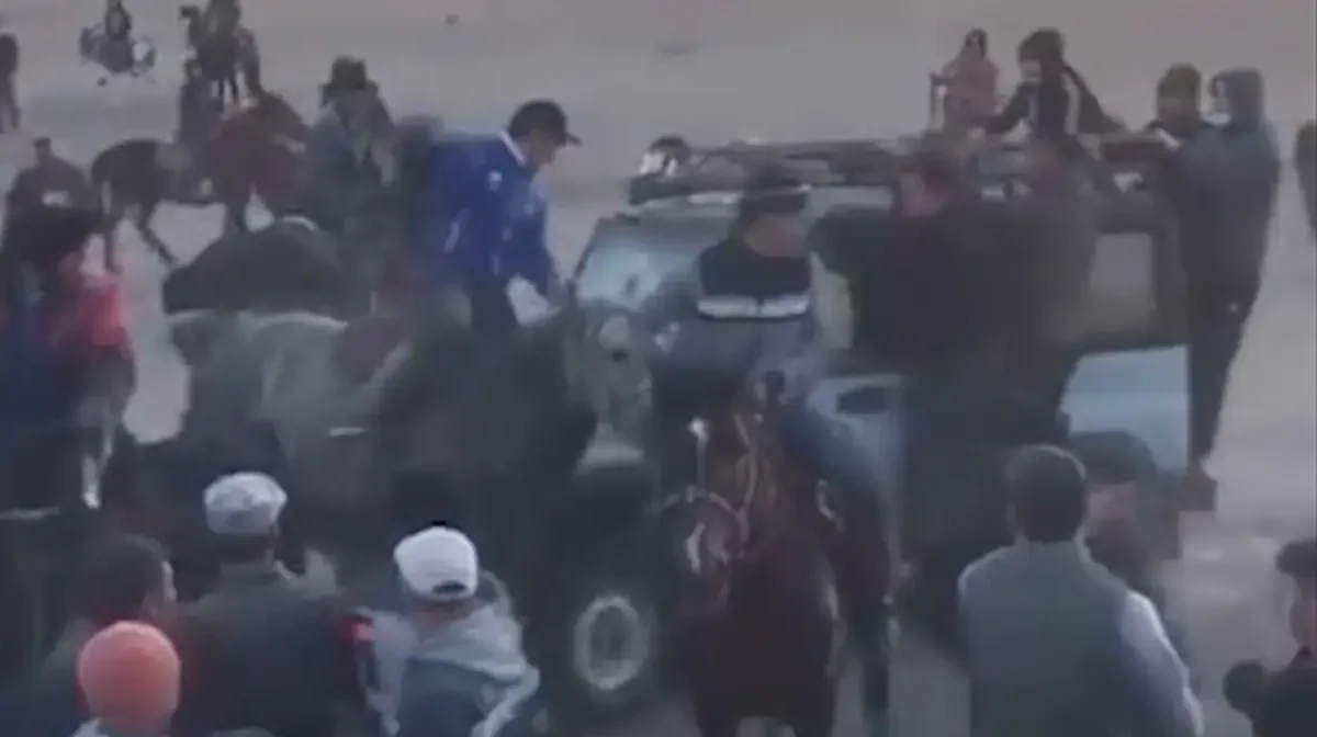 Қызылорда облысында көкпаршыларды қаққан жүргізушіге қылмыстық іс қозғалды