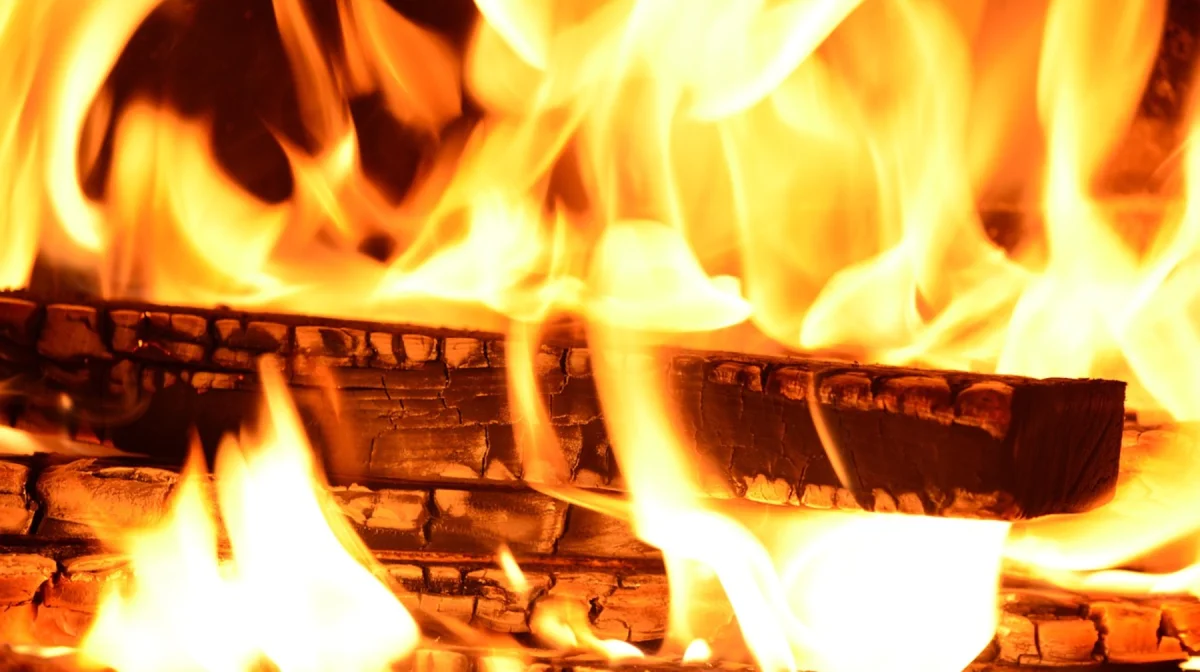 В Жетысае при пожаре в жилом доме погибли 12 человек, включая 9 детей