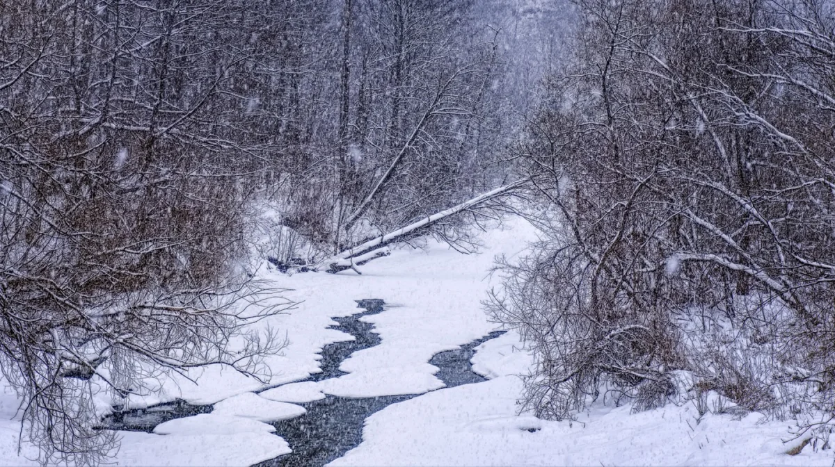 Метель и гололед: где в Казахстане объявлено штормовое предупреждение