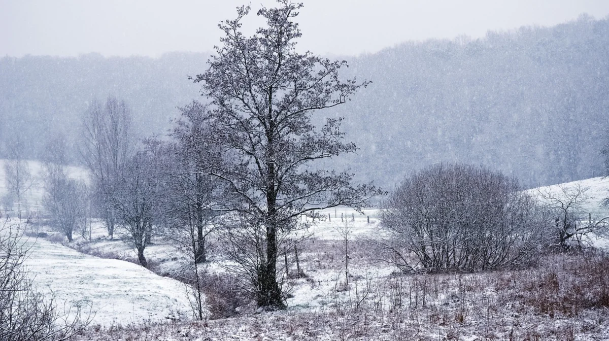 Снег, дождь и порывистый ветер: север и восток готовятся к непогоде 27 ноября