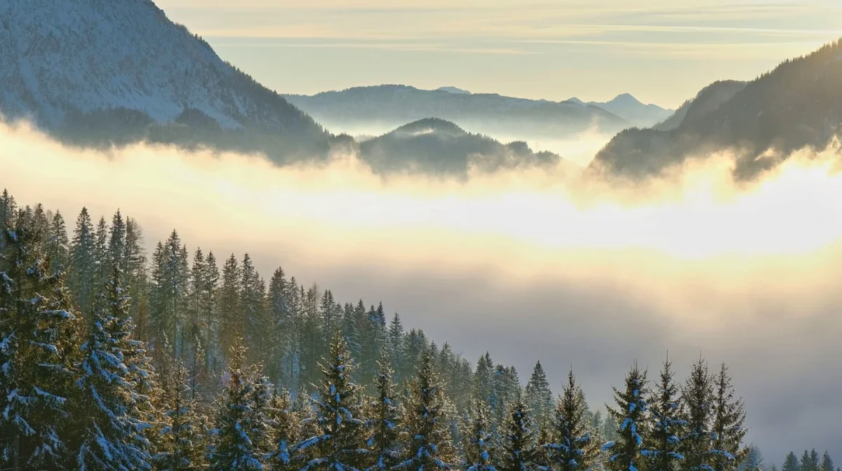 Синоптики рассказали о погоде в Казахстане на 28 ноября