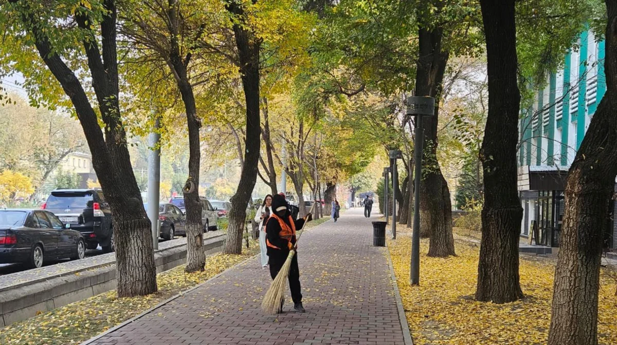 «Таза Қазақстан»: Алматыда биыл 5 жарым мыңнан аса адам айыппұл арқалады