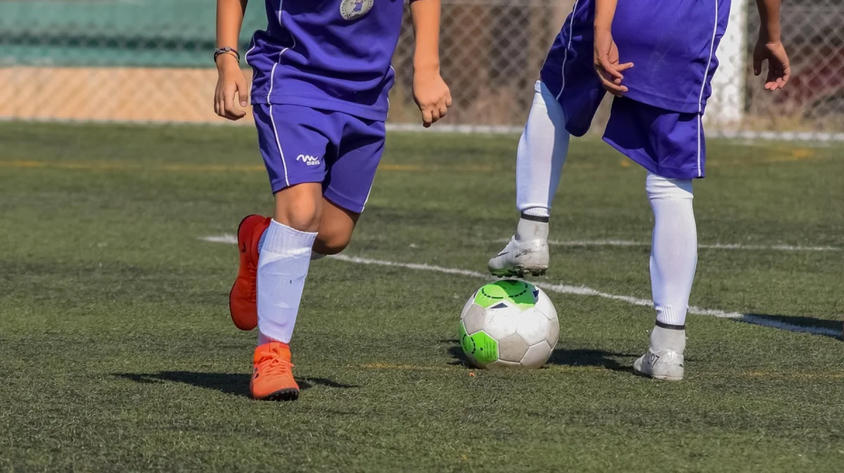 Платформа ArtSport прекращает работу с 1 января 2026 года