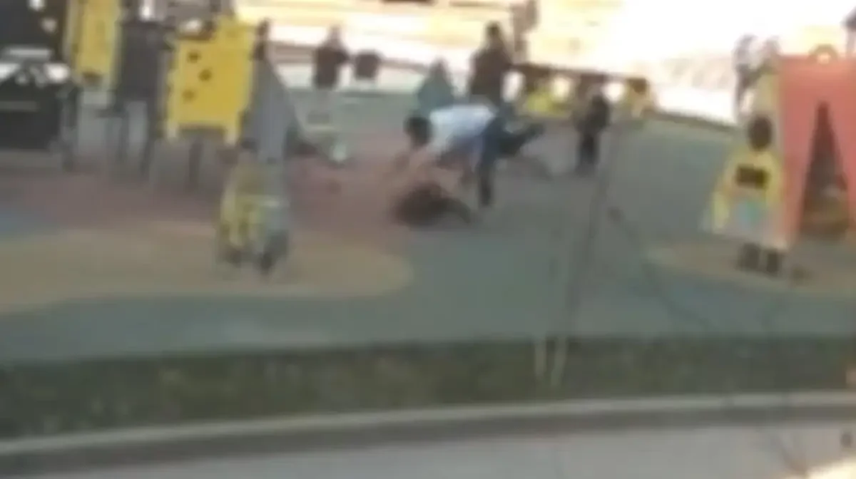 Алматыда аулада жүрген баланы тепкен ер адам қамауға алынды