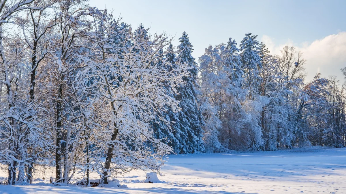 Сильный мороз накроет Казахстан: столбики термометров опустятся до -35°С