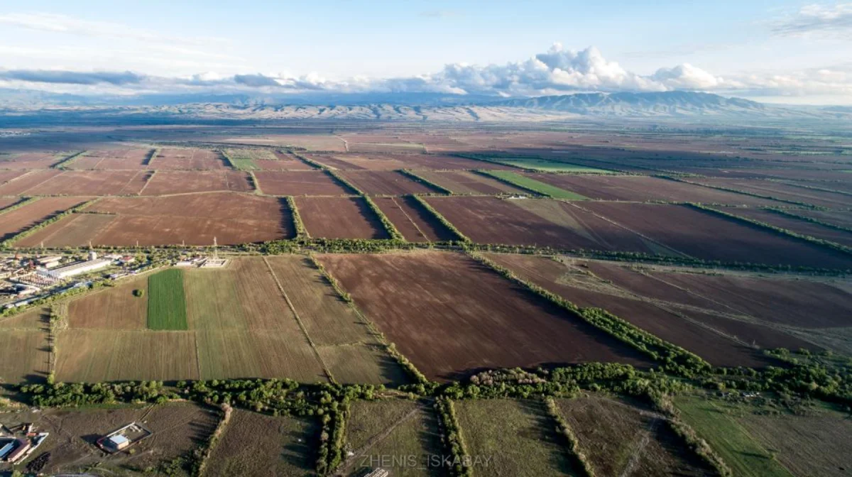 В Жетісу вовлечено в оборот более 700 тыс. гектаров неиспользуемых сельхозземель