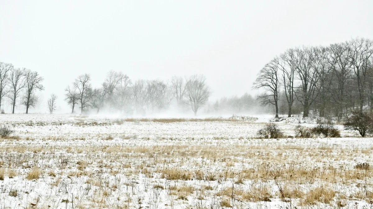 Сильный ветер, снег и гололёд ожидаются в Казахстане 15 декабря