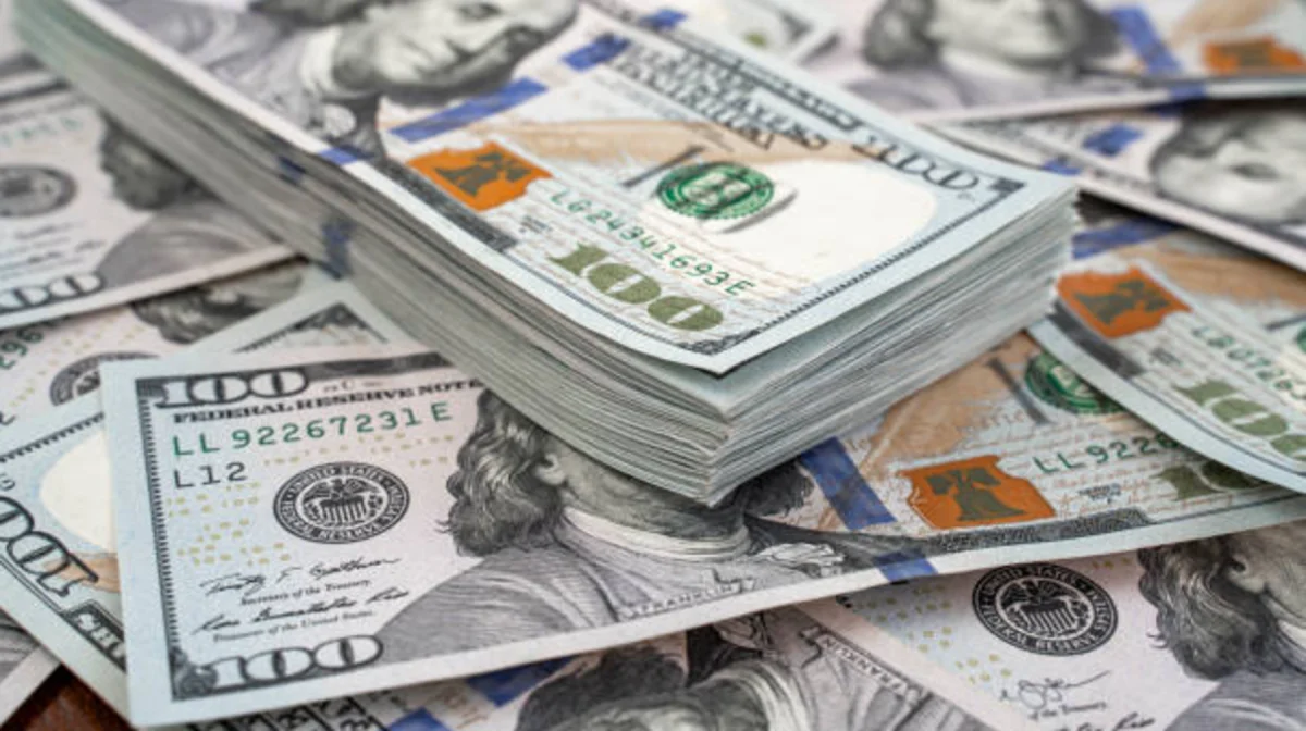 Астанада қаржы пирамидасы салымшыларын 136 млн теңгеге алдап кетті