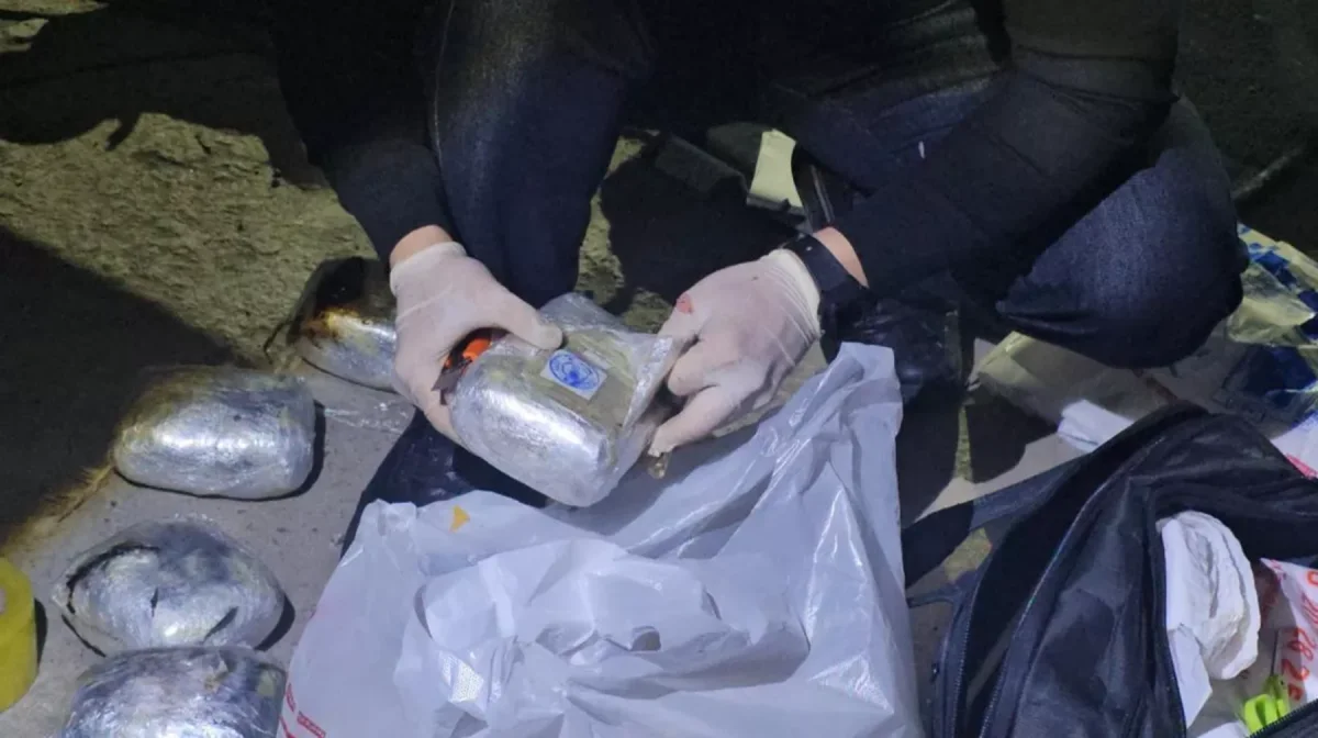 Қазақстан мен Қырғызстан шекарасында есірткінің ірі партиясы тәркіленді