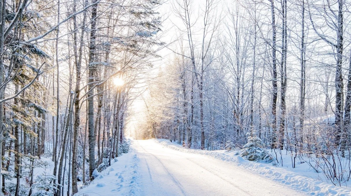 Казахстан готовится к холодам: прогноз погоды на 23 декабря