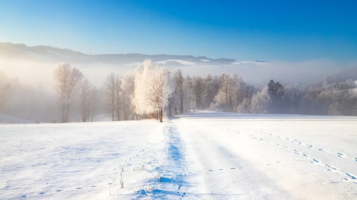 Штормовое предупреждение объявлено в ряде регионов Казахстана в канун Нового года