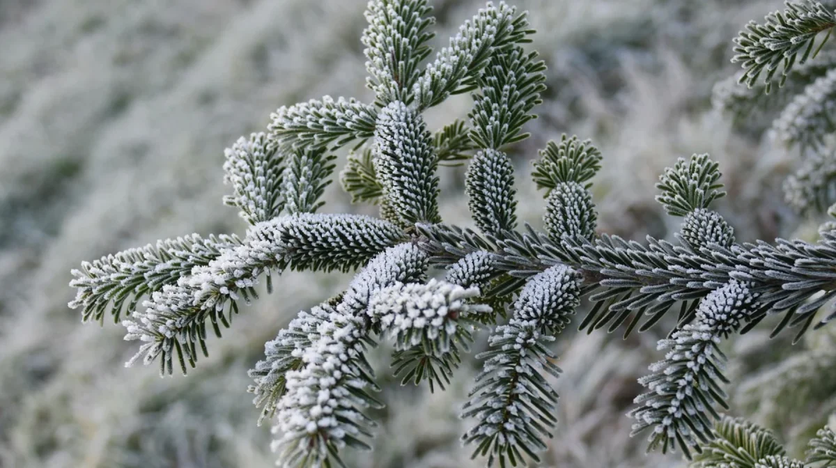 Какая погода ждет казахстанцев на выходных