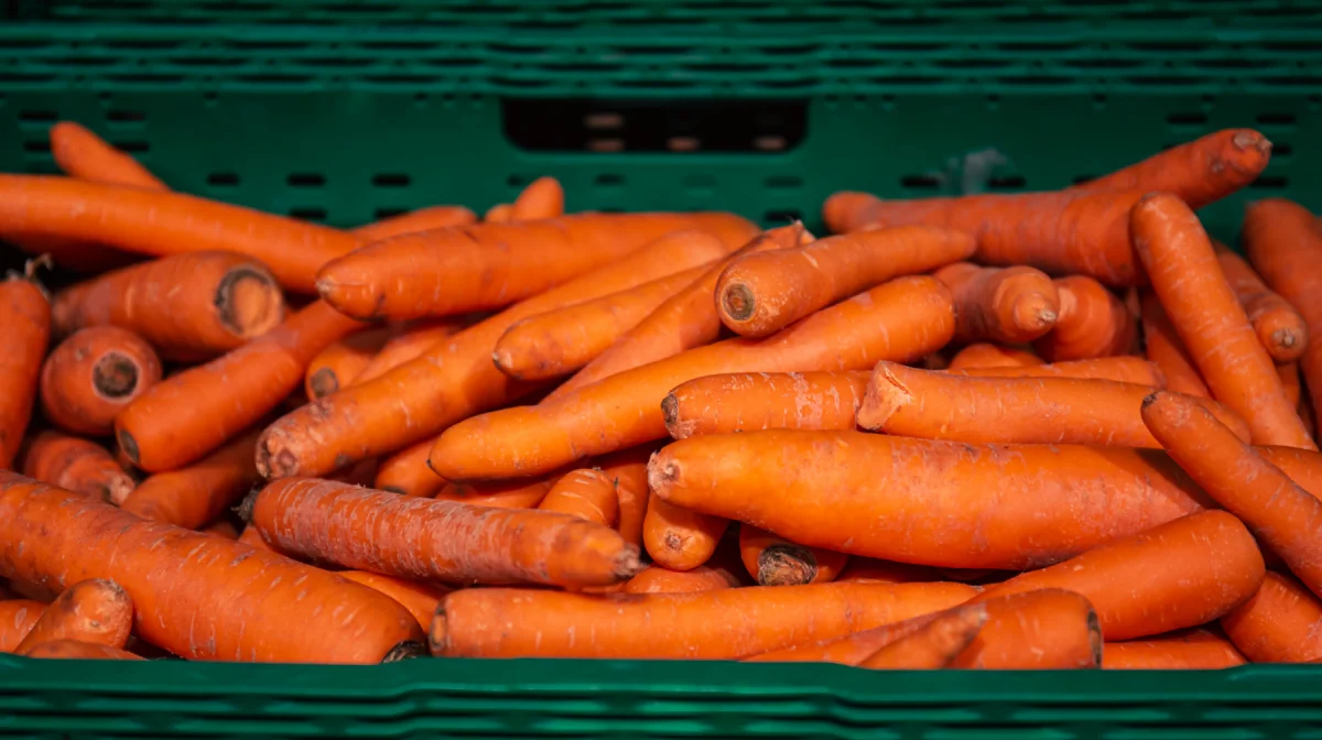 Почему при полных складах запрещают экспорт? Депутат задал неудобные вопросы правительству