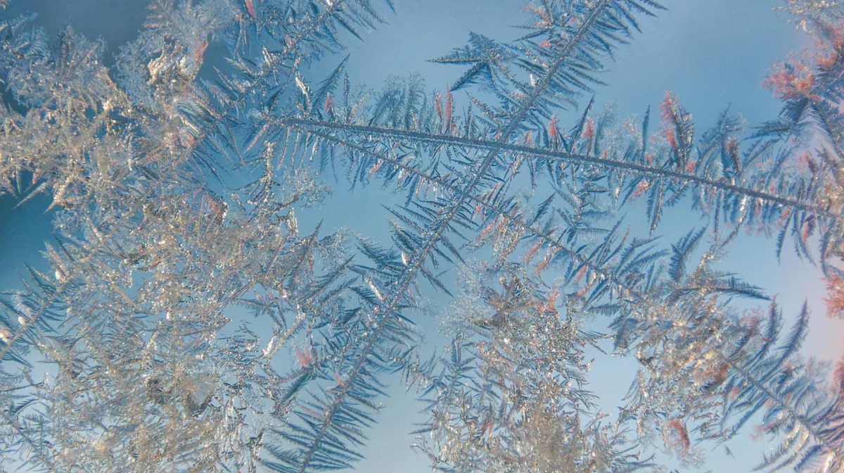 Сильные морозы до 42 градусов ожидаются в ряде регионов Казахстана