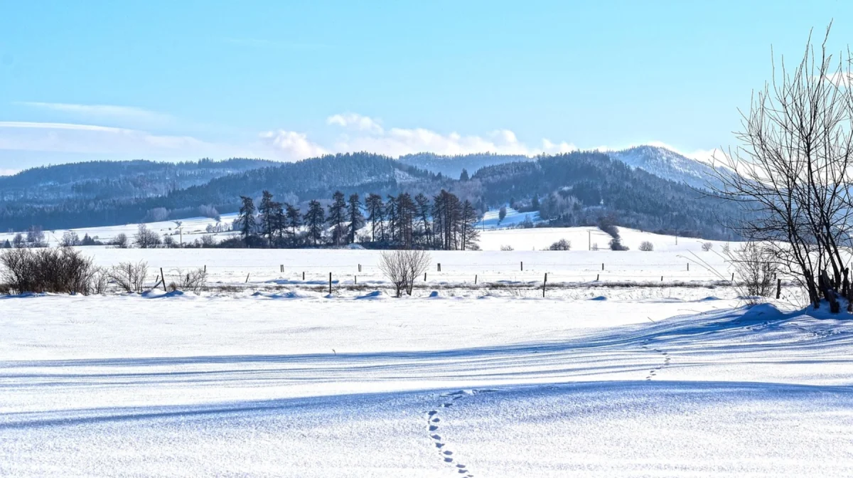 Сильные морозы сохранятся: прогноз погоды на 19 января по Казахстану