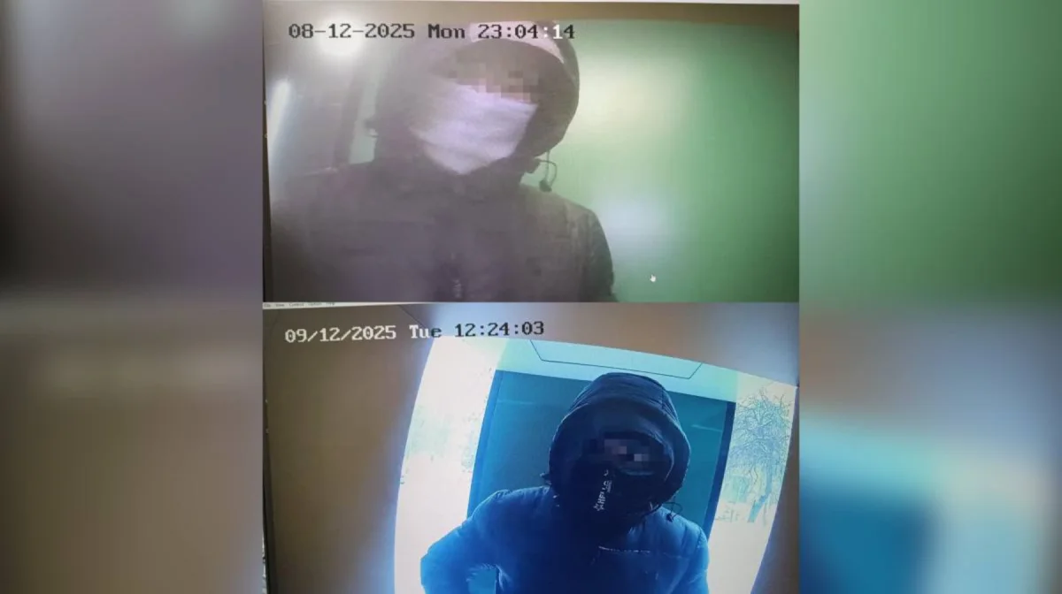 Шымкентте киберполицейлер ірі интернет-алаяқтық схемасын анықтады