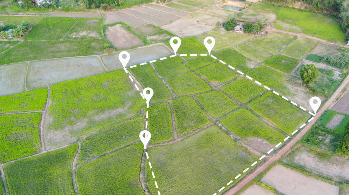 Земли в Алматинской области раздавали по поддельным документам акимов