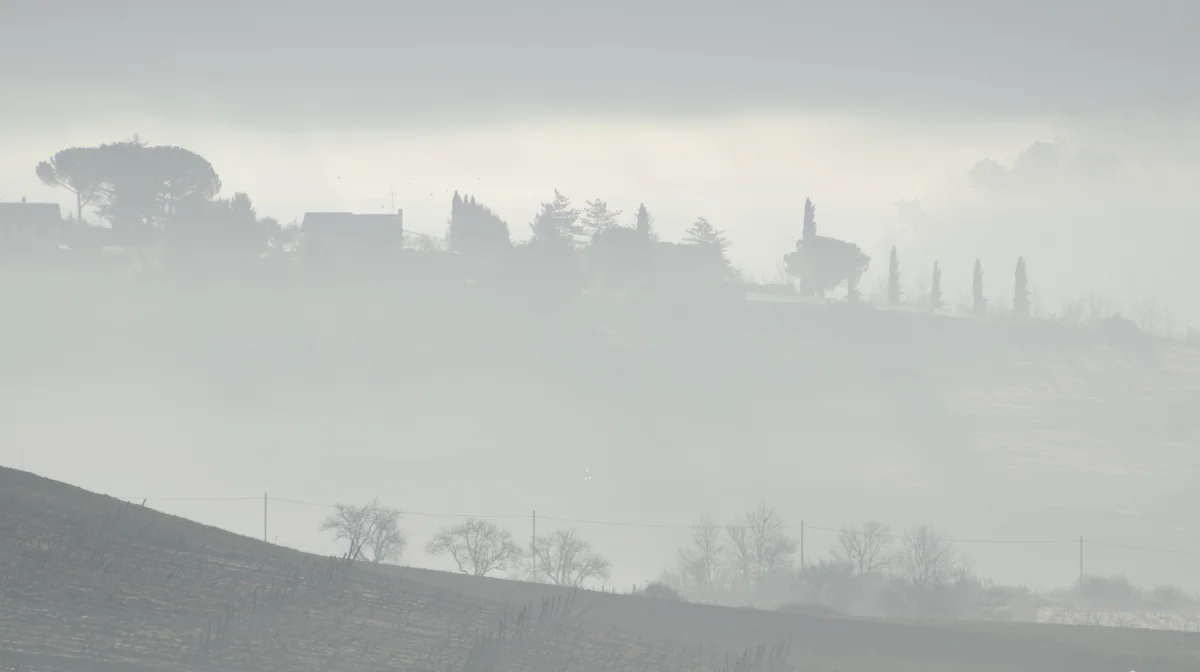Жители Усть-Каменогорска дышат ядом, власти бездействуют: депутат поднял тревогу
