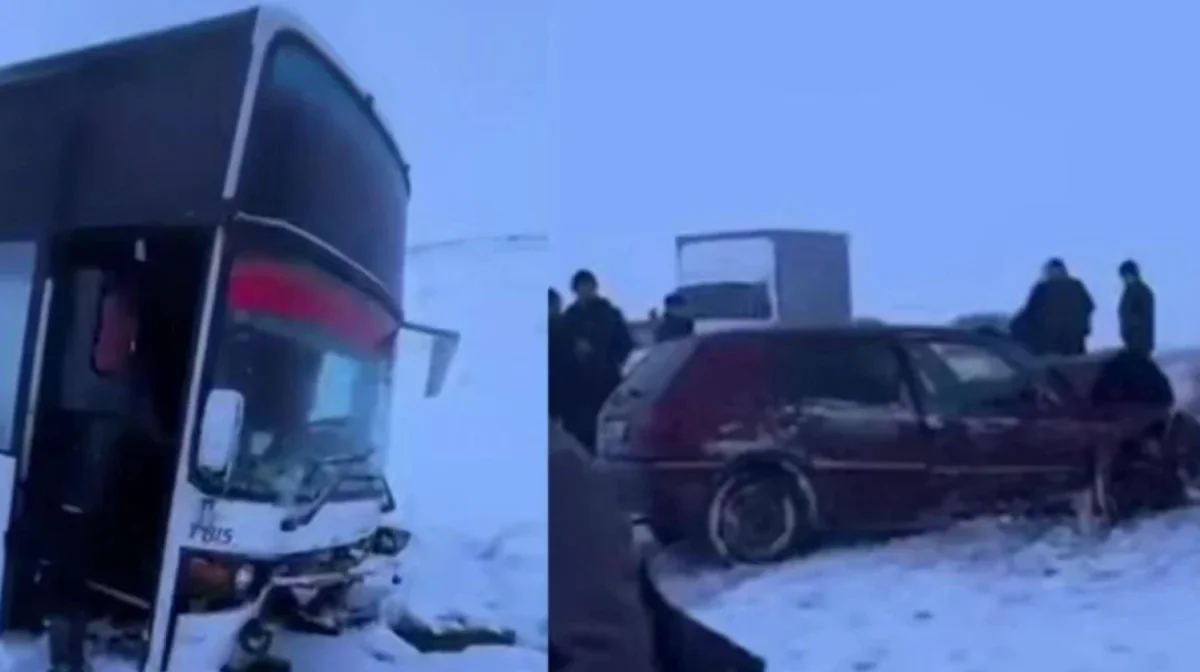 Фото: видеодан скриншот