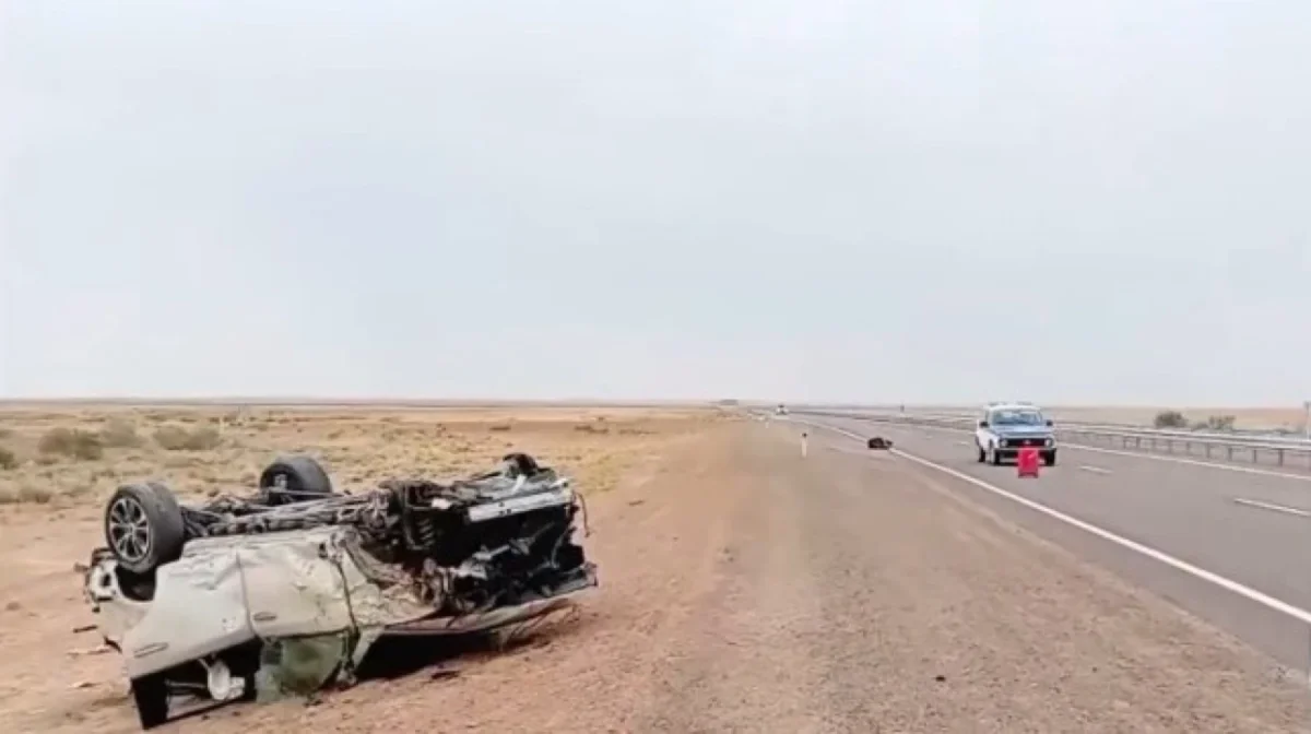 Фото: видеодан скриншот