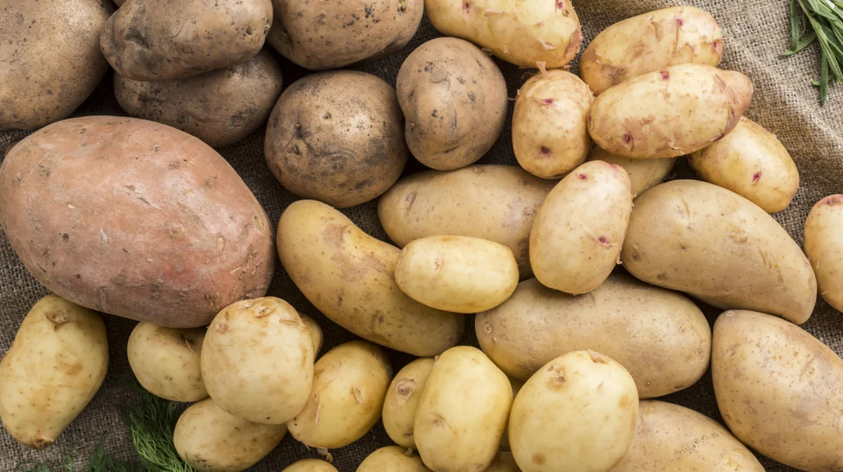 Картофель дорожает: Минсельхоз объяснил, откуда ждать овощи и по какой цене