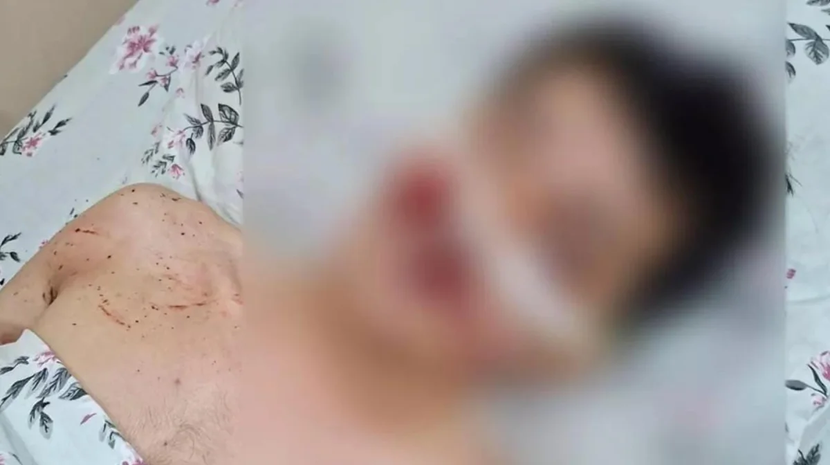 Фото: видеодан скриншот