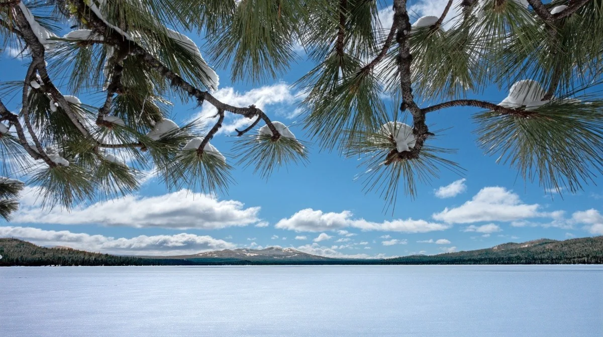 Погода на 19 февраля: штормовой ветер на юге, снег и дождь на востоке Казахстана