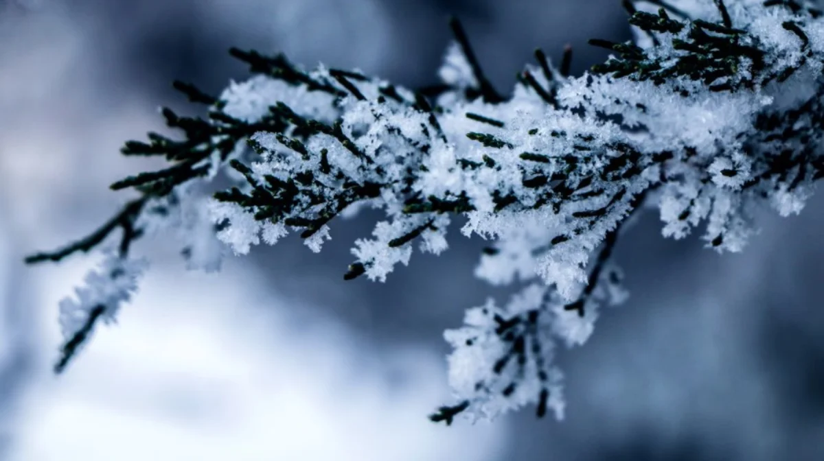 Сильные морозы и метели ожидаются в Казахстане 25 февраля
