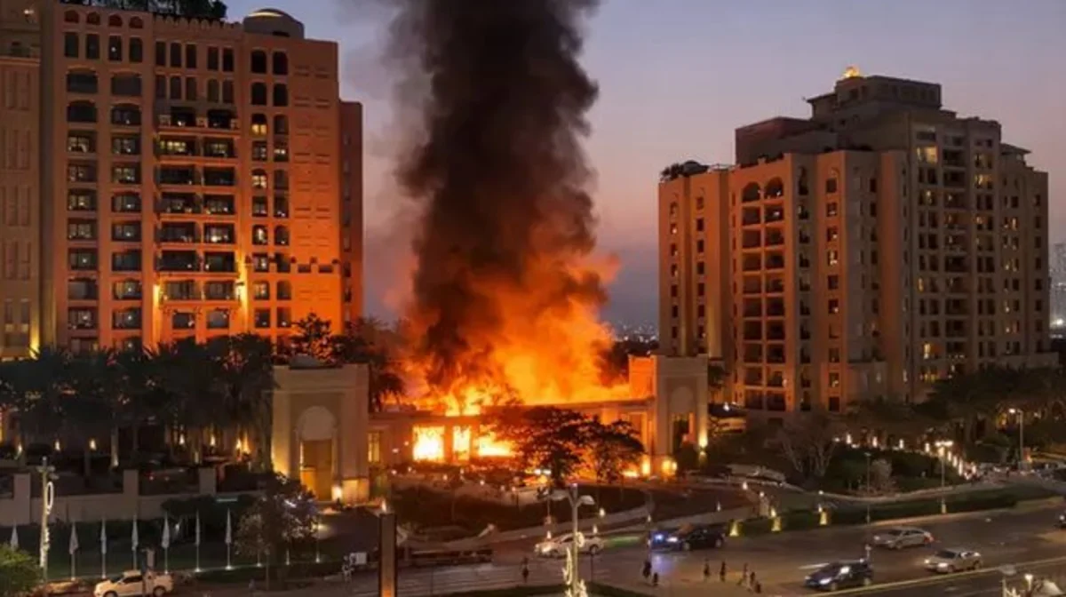 видеодан скриншот