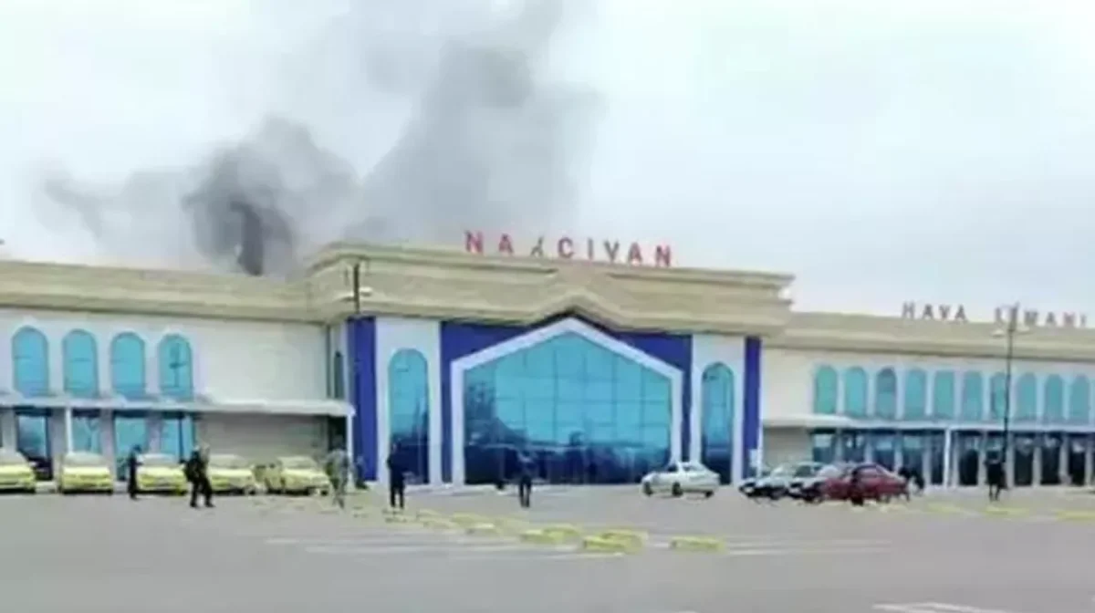 видеодан скриншот