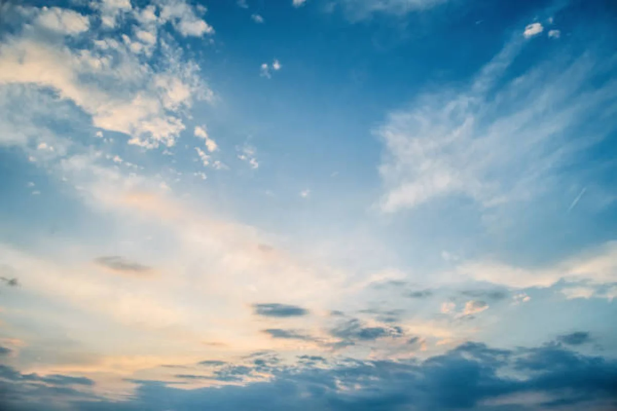 Фото: istockphoto