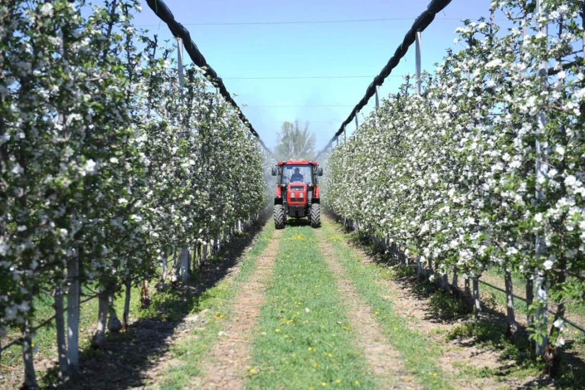 Фото: акимат