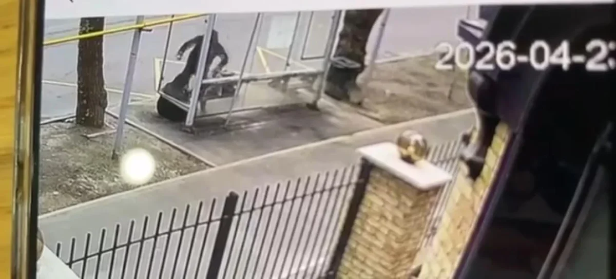 Скрин из видео