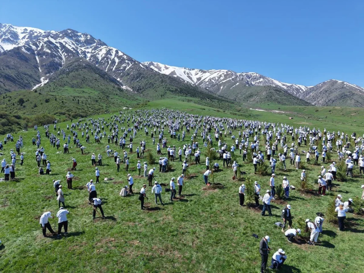 Түркістан облысы әкімінің баспасөз қызметі