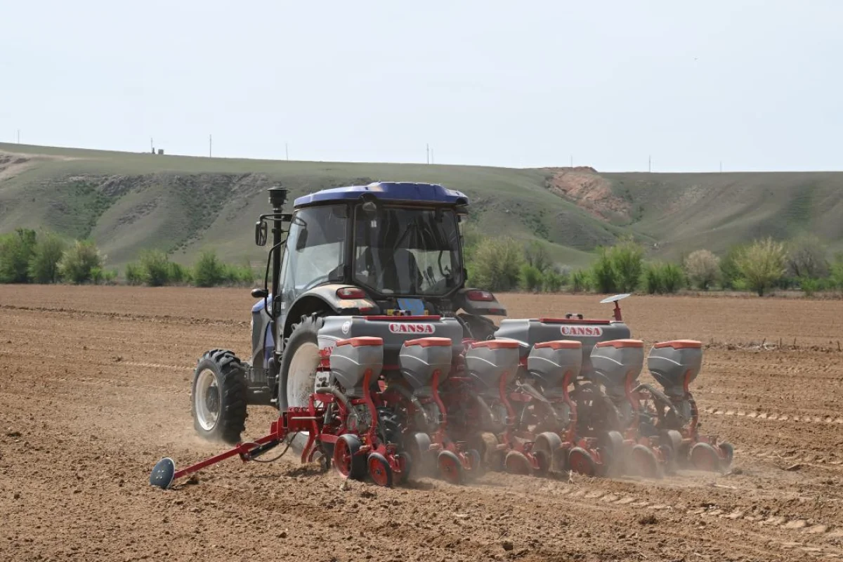 Дмитрий Ерофеев