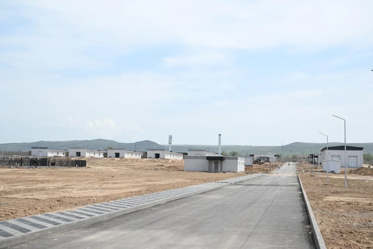 Дмитрий Ерофеев