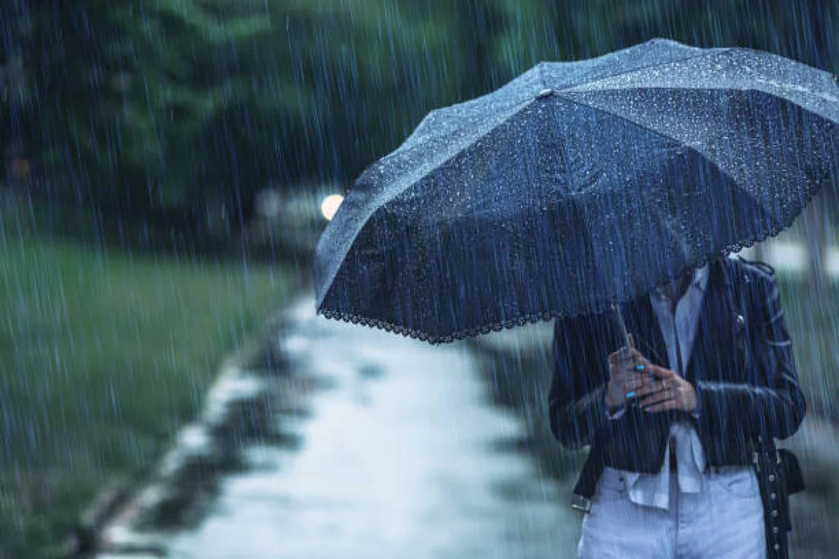 Фото: istockphoto