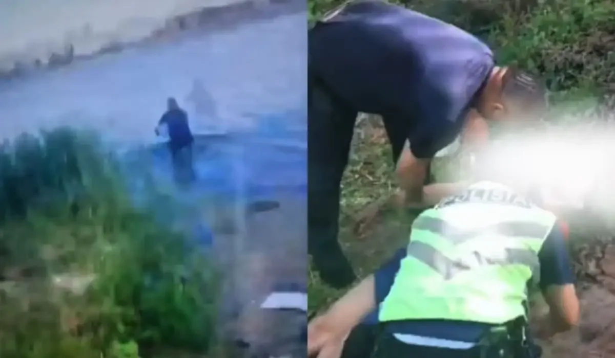 Фото: скриншот из видео