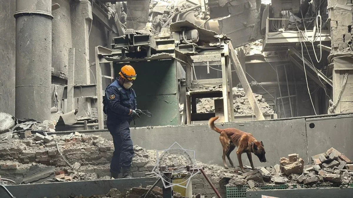 Фото: ТЖМ