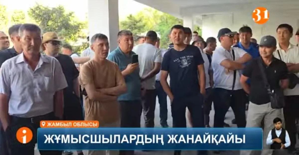 Фото: видеодан скриншот
