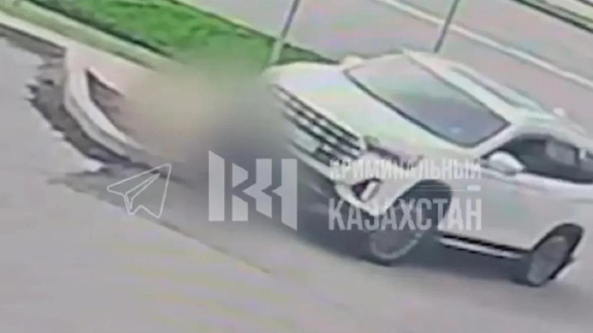 Фото: скриншот из видео