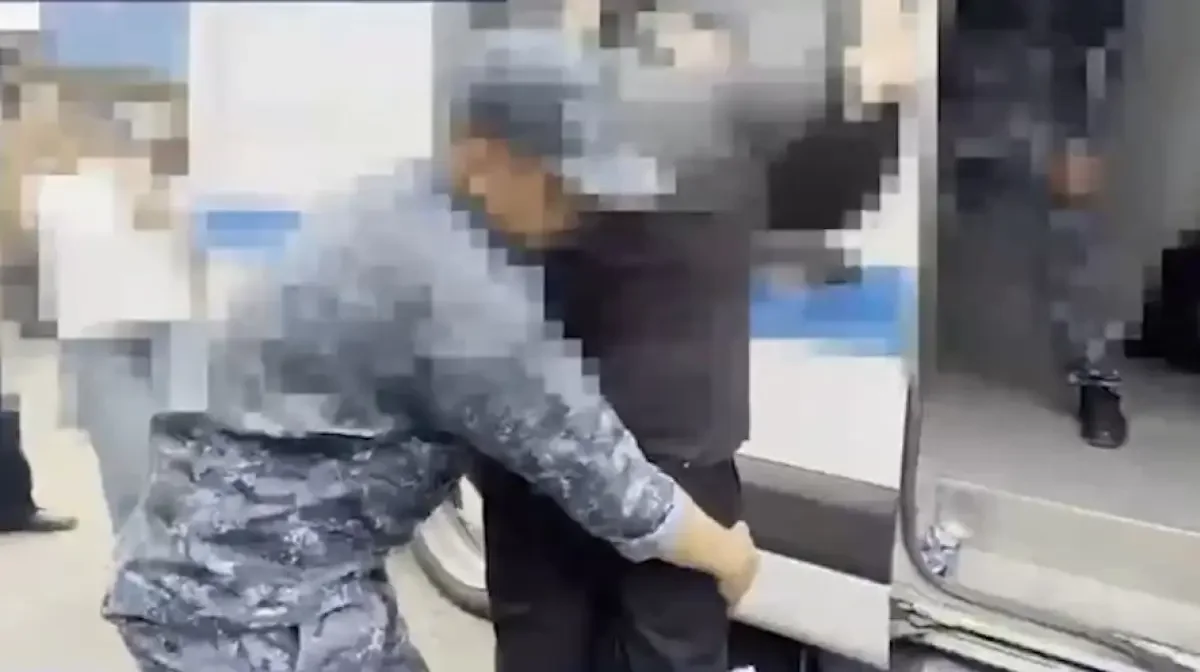 Фото: скриншот из видео