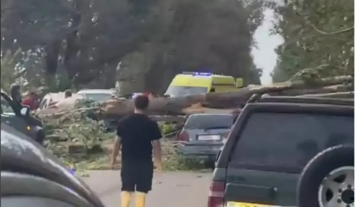 Фото: скриншот из видео