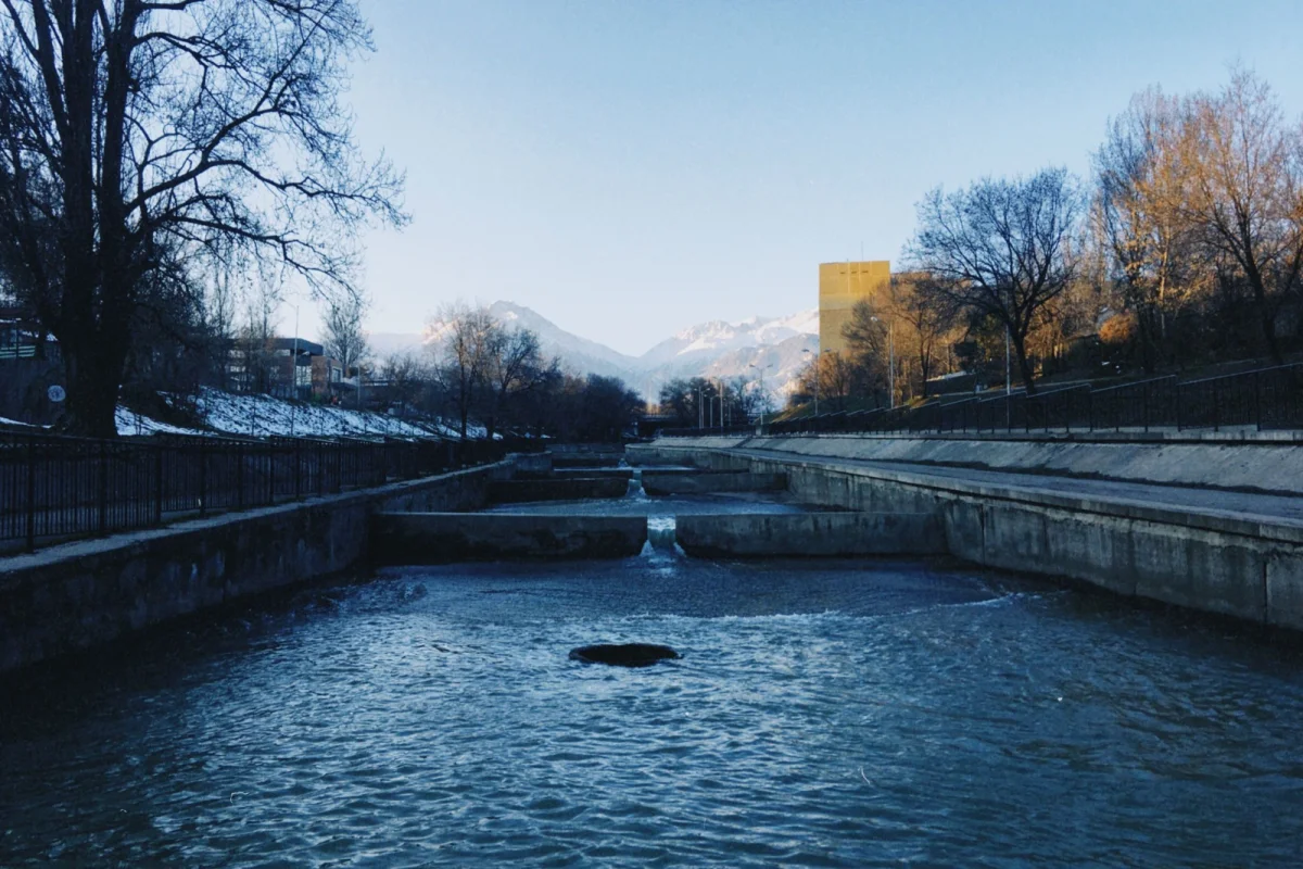 Aibek Skakov  /www.pexels.com