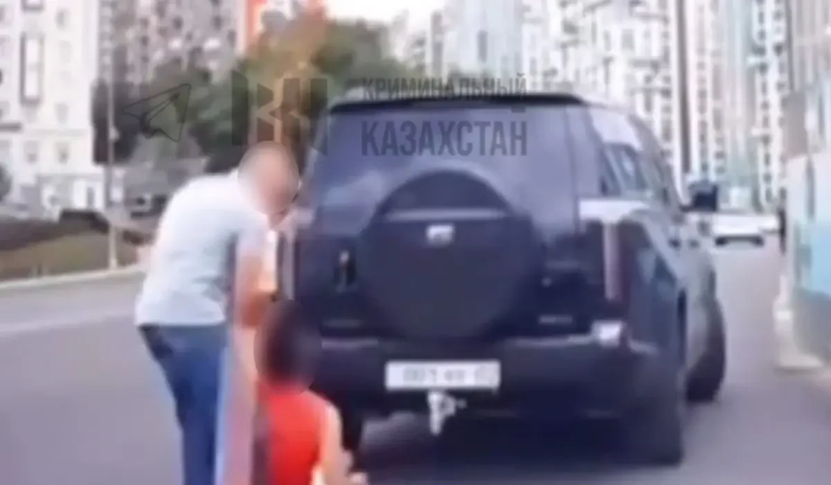 видеодан скрин