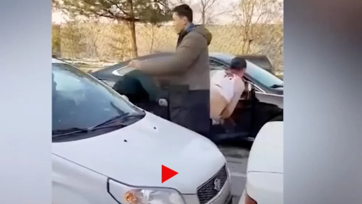 кадр из видео
